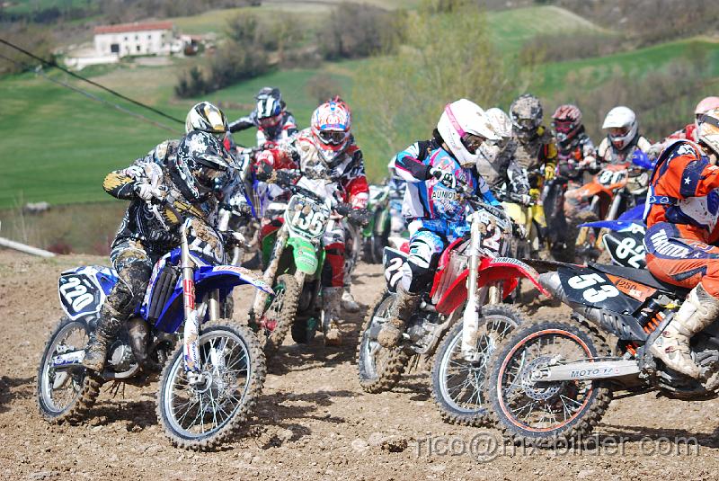DSC_8740.JPG